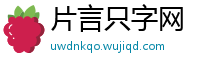 片言只字网